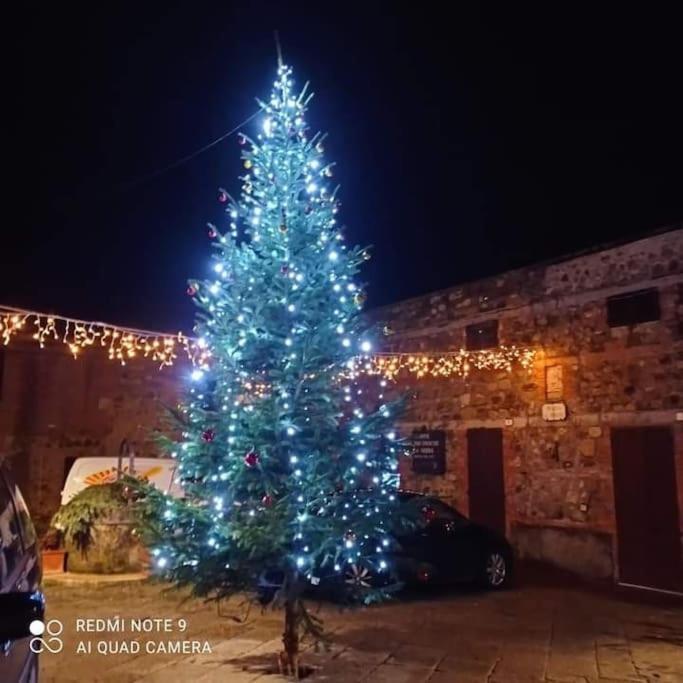 Villa Marta Contignano Εξωτερικό φωτογραφία